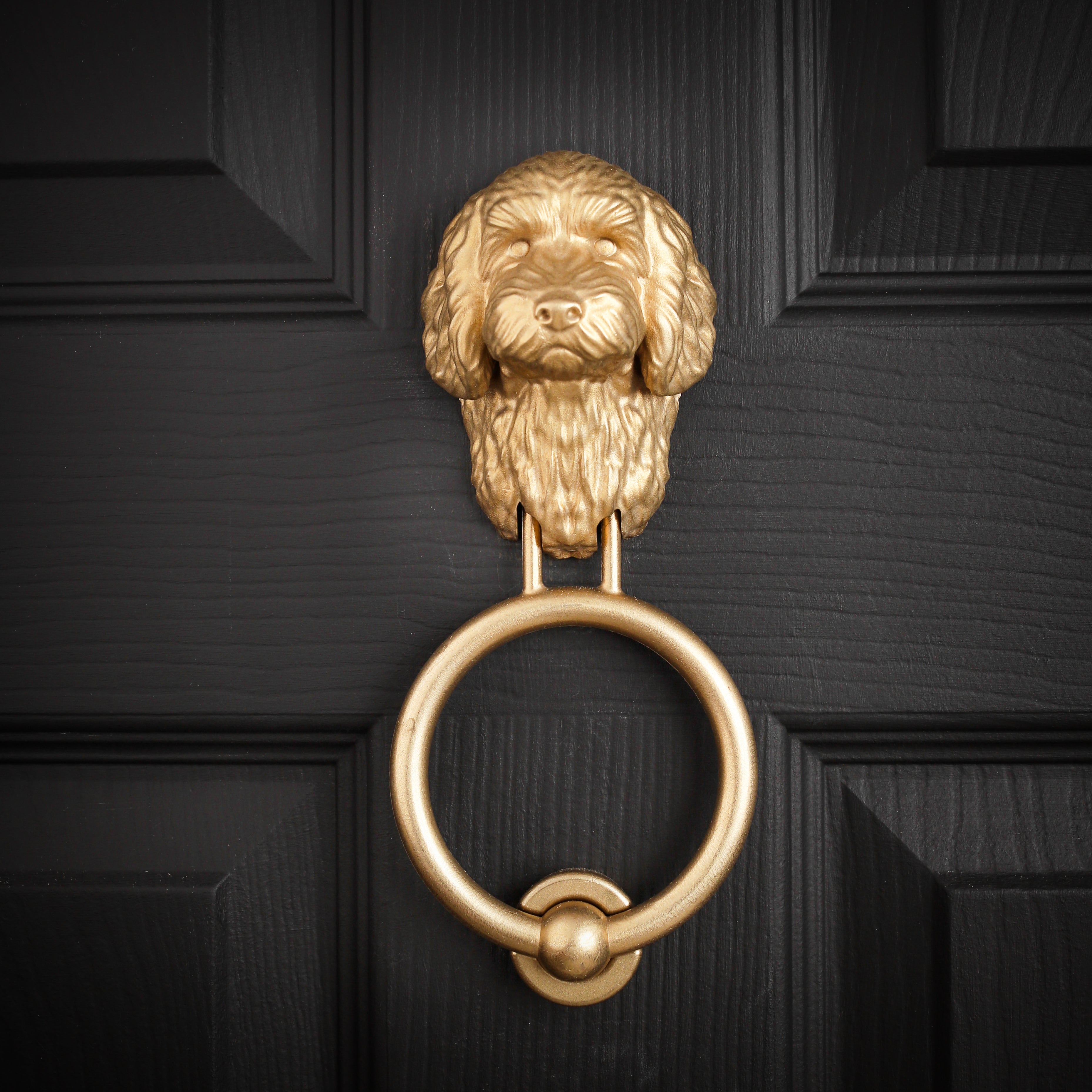 Cockapoo brass door knocker fitted to a black front door, straight on