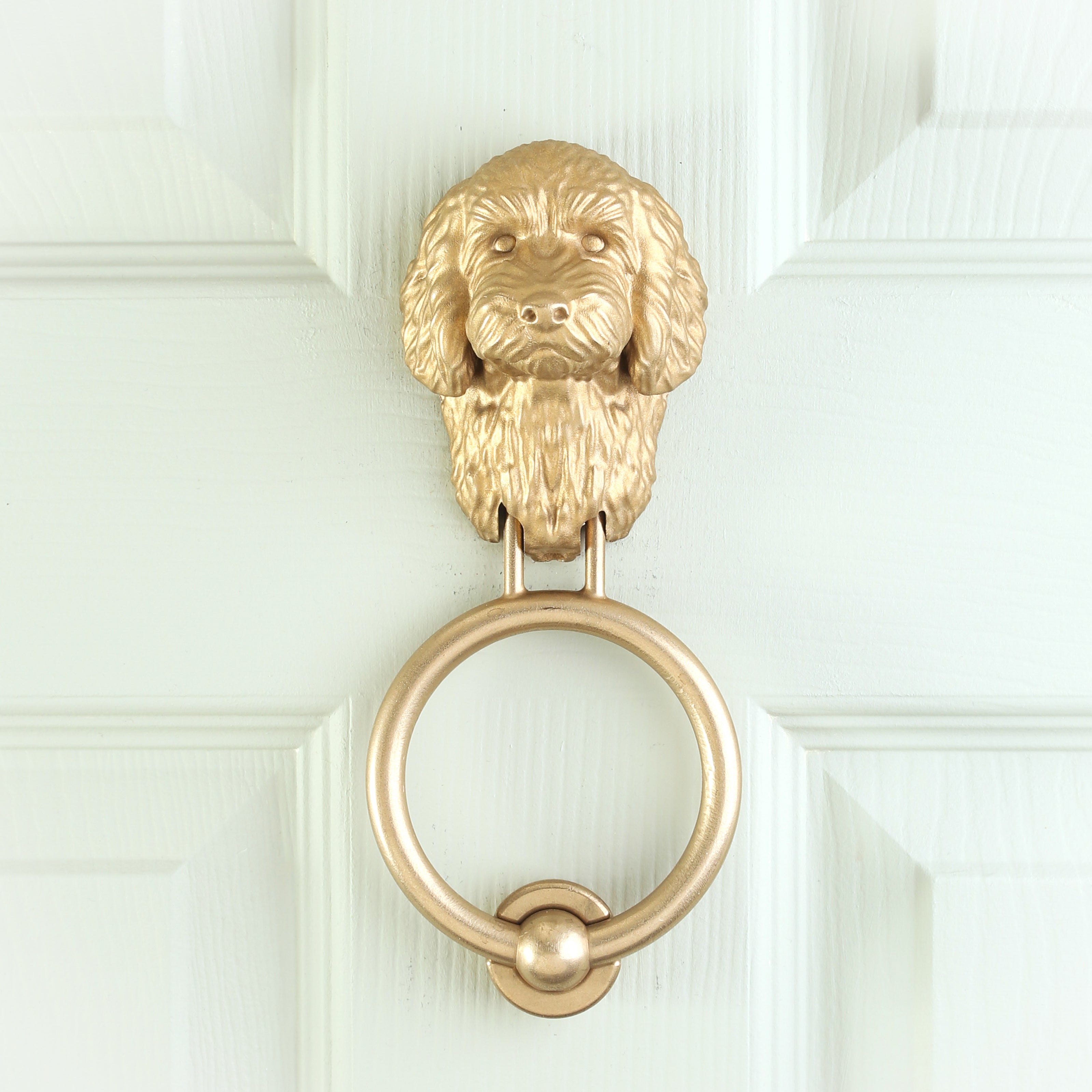 Cockapoo brass door knocker fitted to a pale front door, straight on