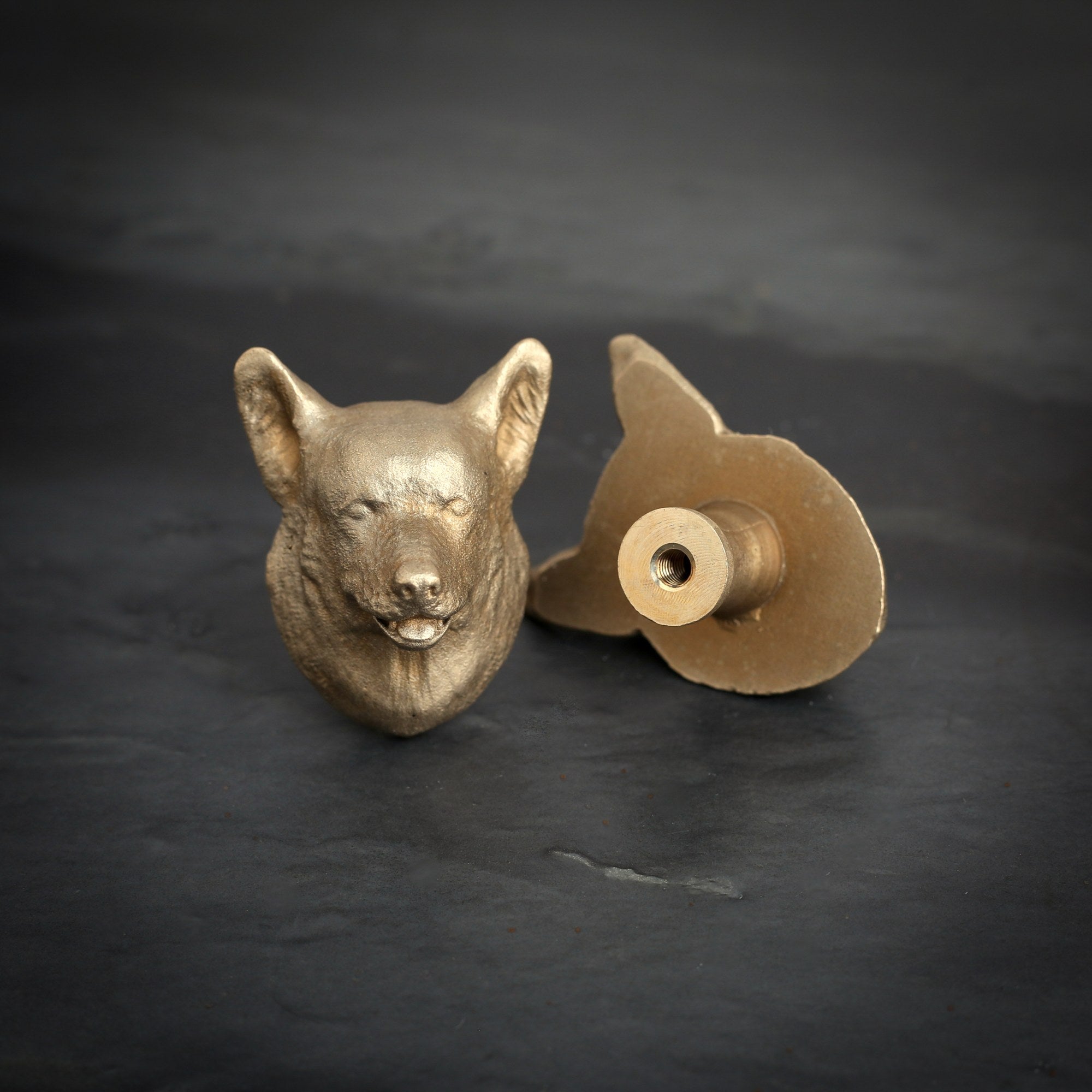 Corgi brass cabinet knob and coat hook on dark slate, one facing front, one turned to show the threaded back