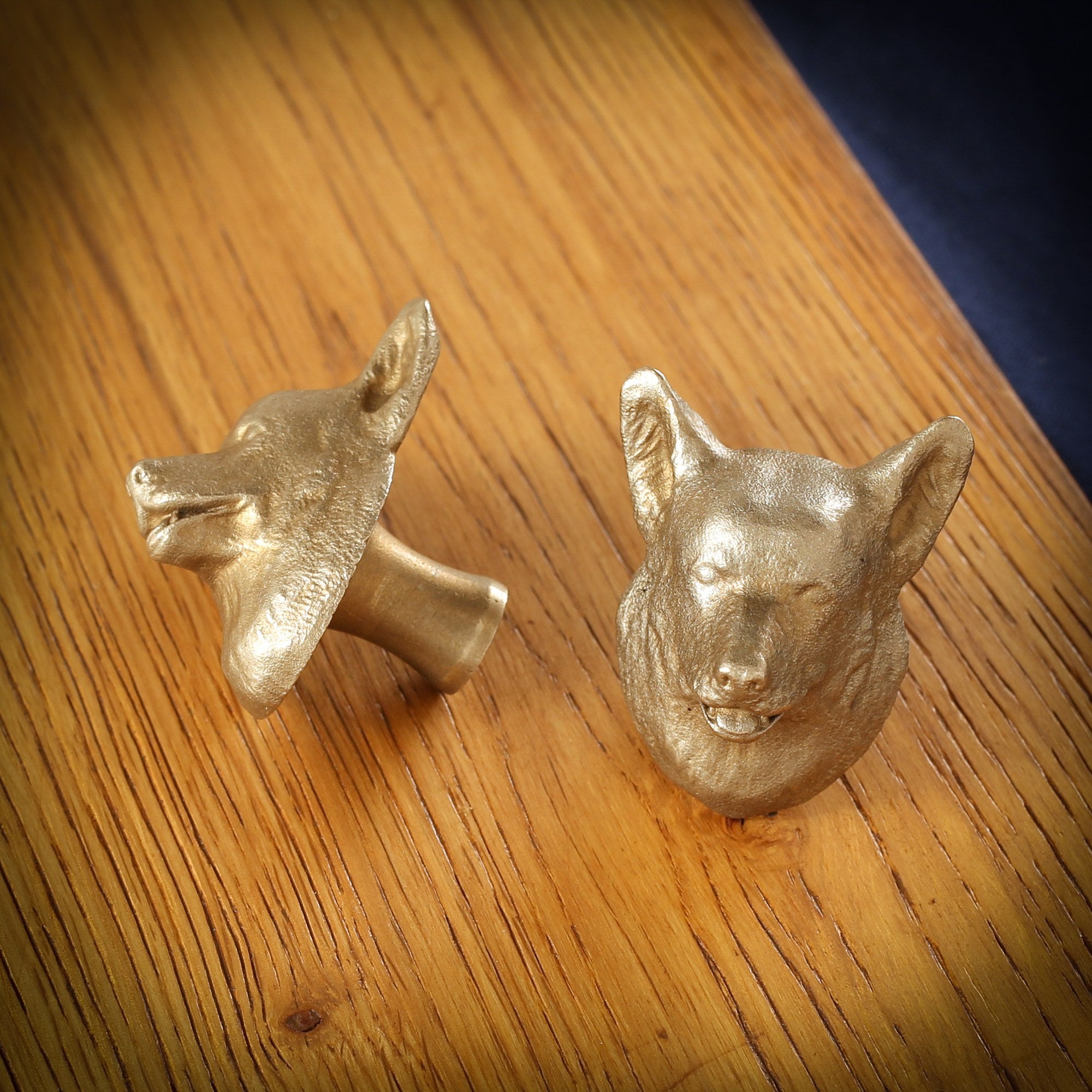 Corgi brass cabinet knob and coat hook on an oak board, one on its side showing the stem, one facing front