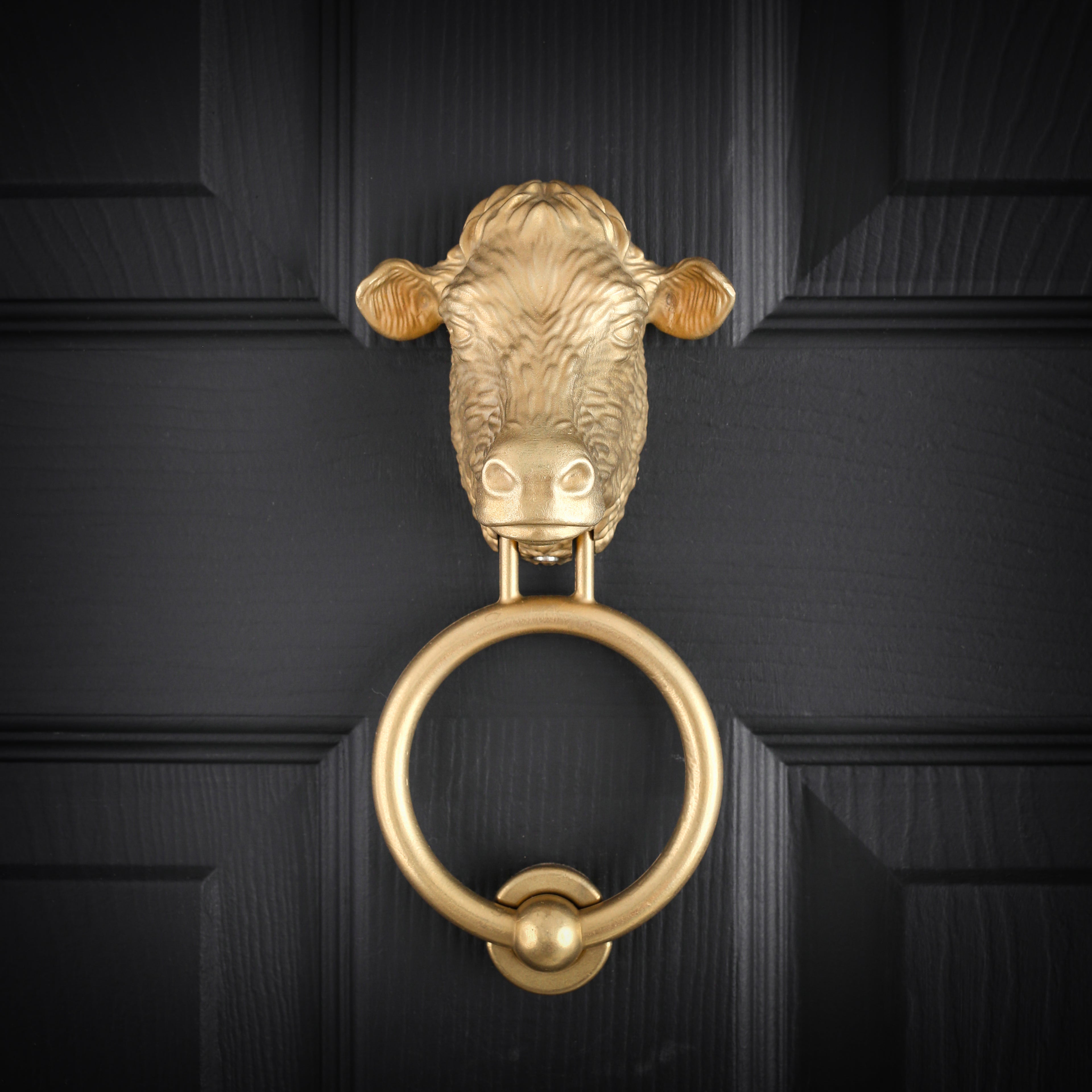 Dairy Cow brass door knocker in cast aluminium bronze on a black front door, straight on