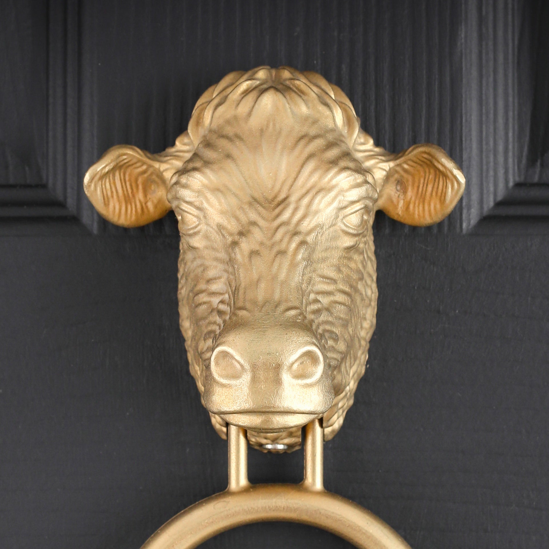 Dairy Cow brass door knocker close up in cast aluminium bronze