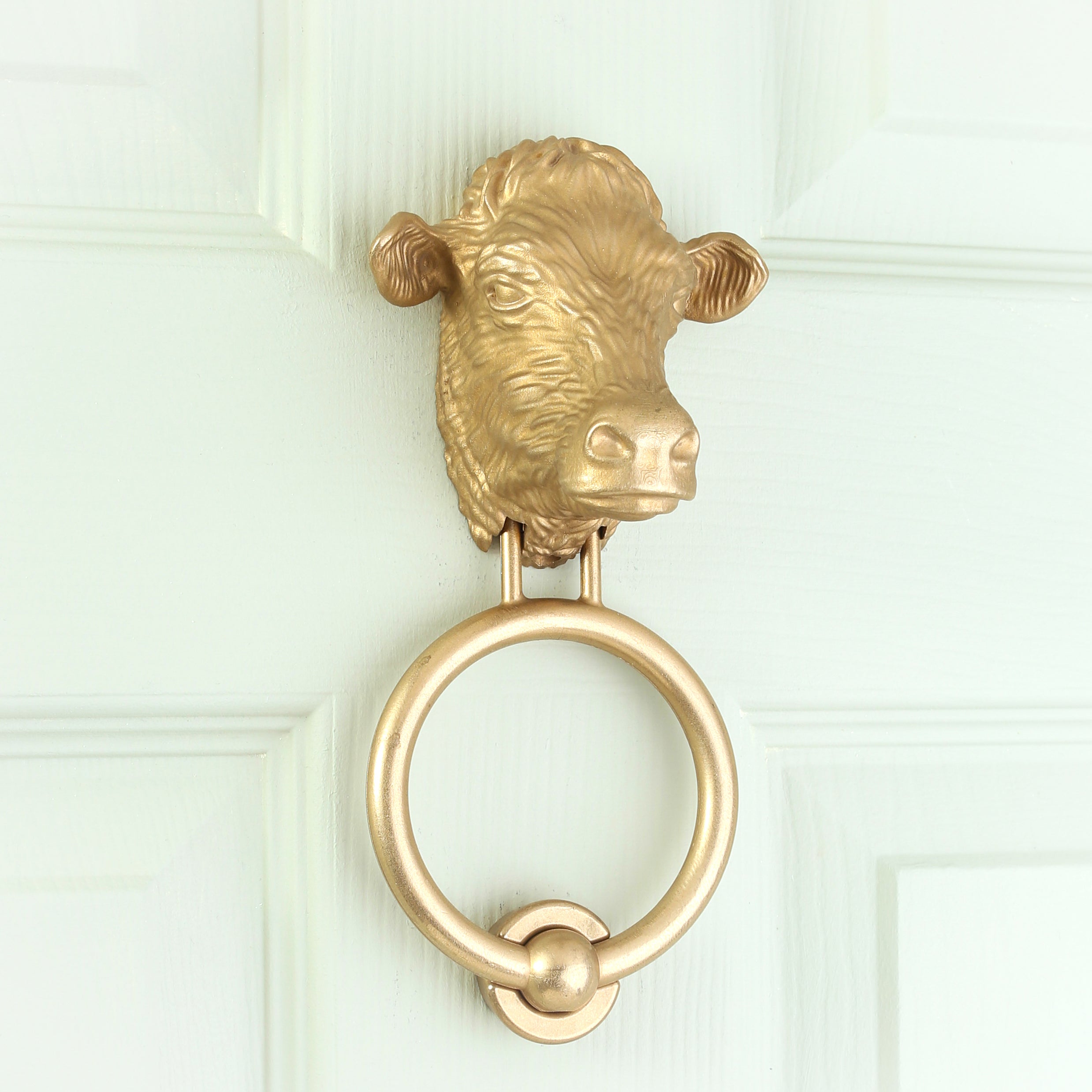Dairy Cow brass door knocker on a pale front door, angled view
