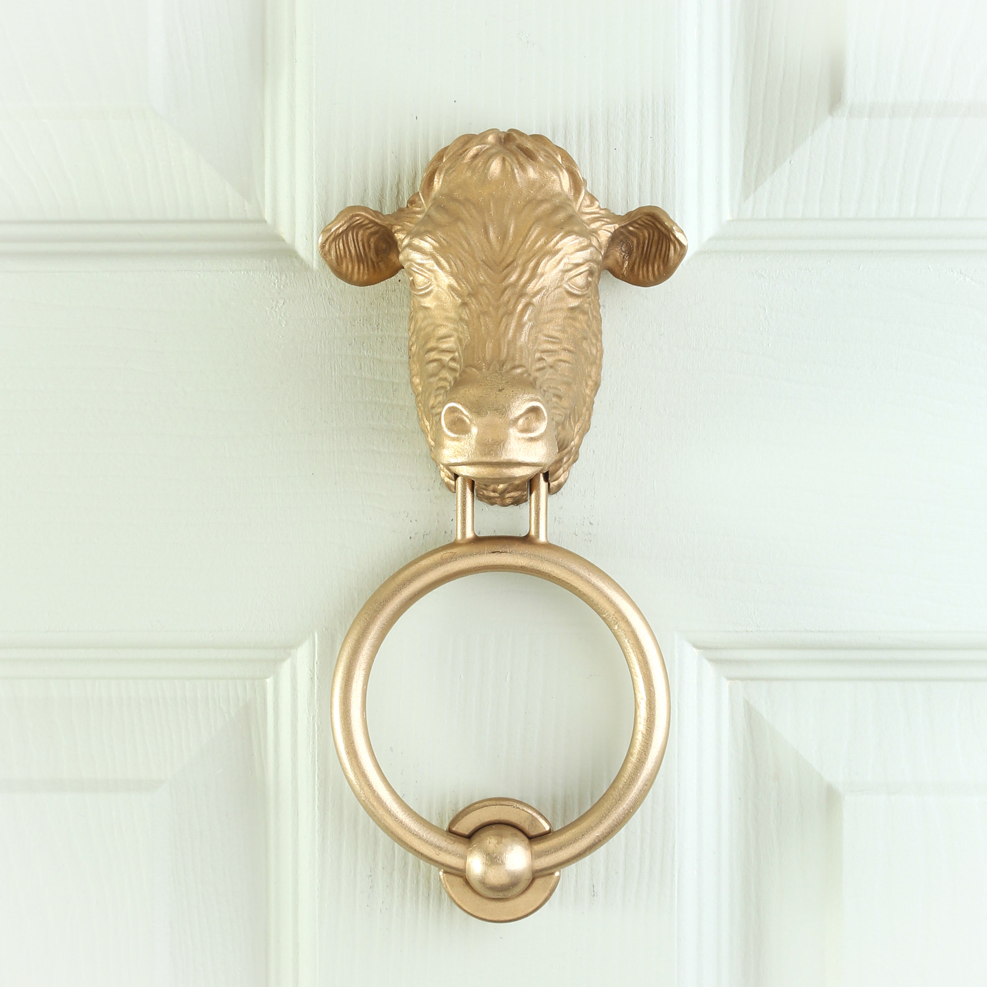 Dairy Cow brass door knocker on a pale front door, straight on