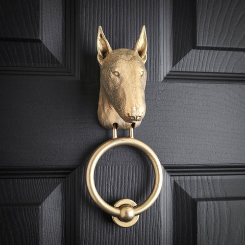 English Bull Terrier brass door knocker on a black panelled door, head turned slightly, the nose sloping from brow to tip