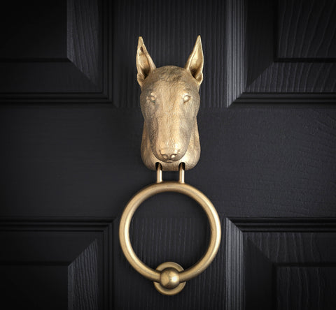 English Bull Terrier brass door knocker on a black panelled door, straight on, egg-shaped head with tall pointed ears