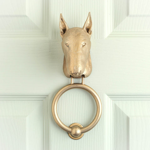 English Bull Terrier brass door knocker on a pale panelled door, straight on, narrow eyes and upright ears