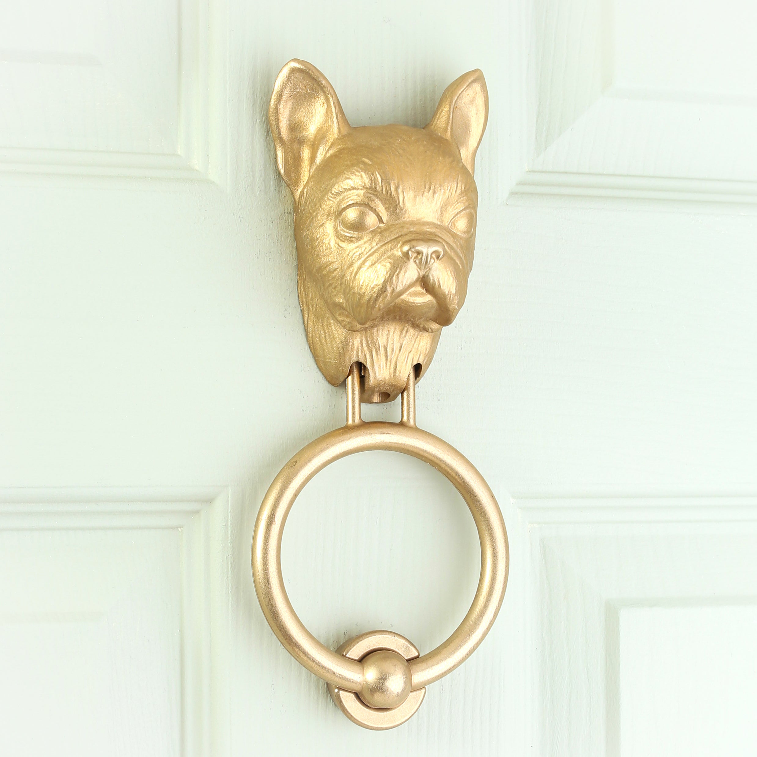 French Bulldog brass door knocker on a pale panelled door, seen at an angle, ears upright and jowls folded