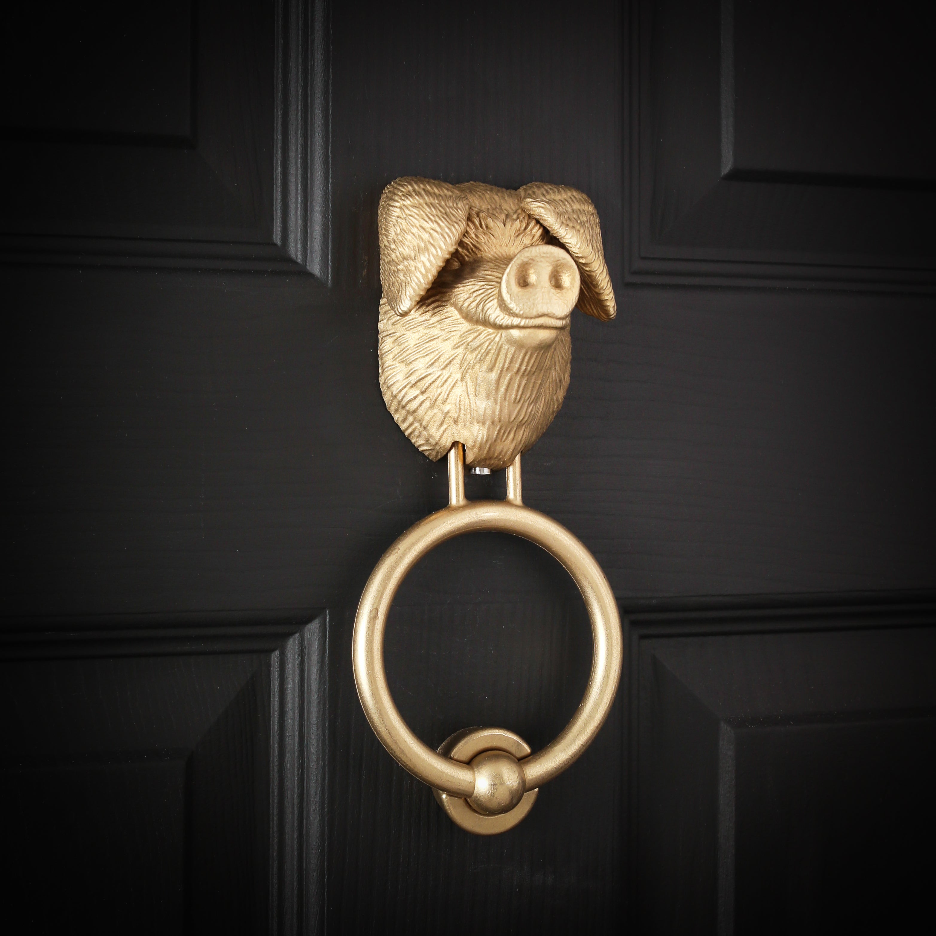 Gloucestershire Old Spot brass door knocker on a black front door, angled view