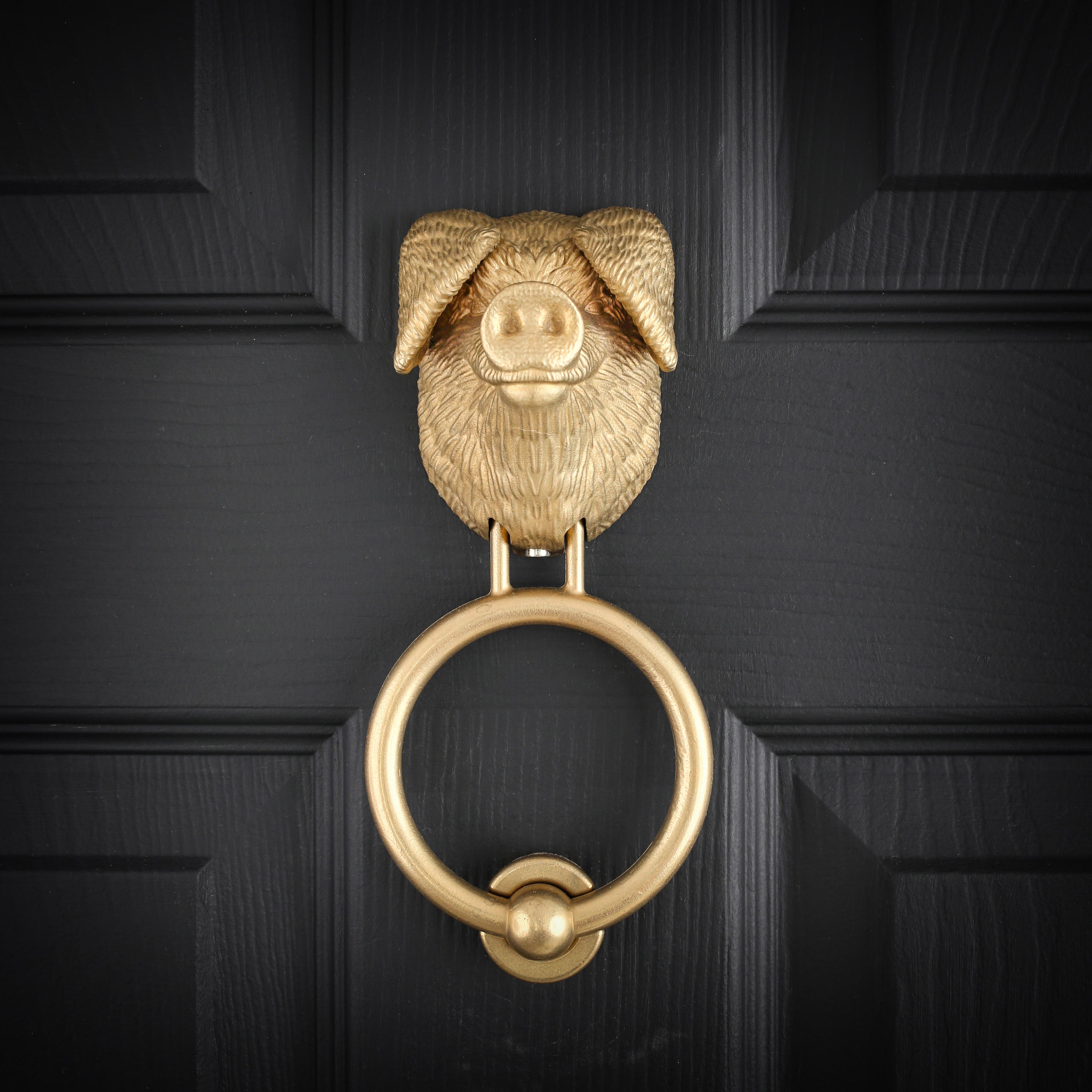 Gloucestershire Old Spot brass door knocker in cast aluminium bronze on a black front door, straight on