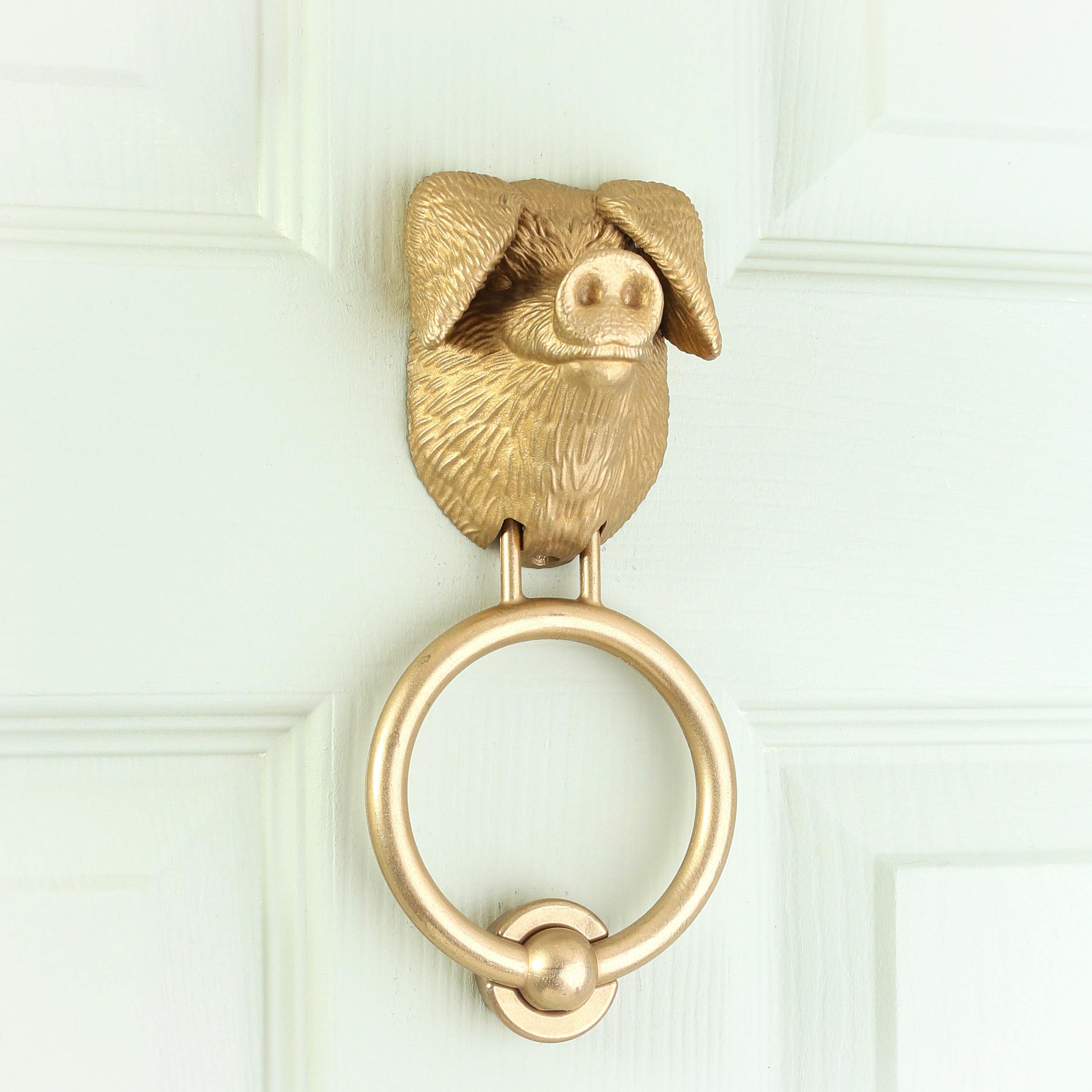 Gloucestershire Old Spot brass door knocker on a pale front door, angled view