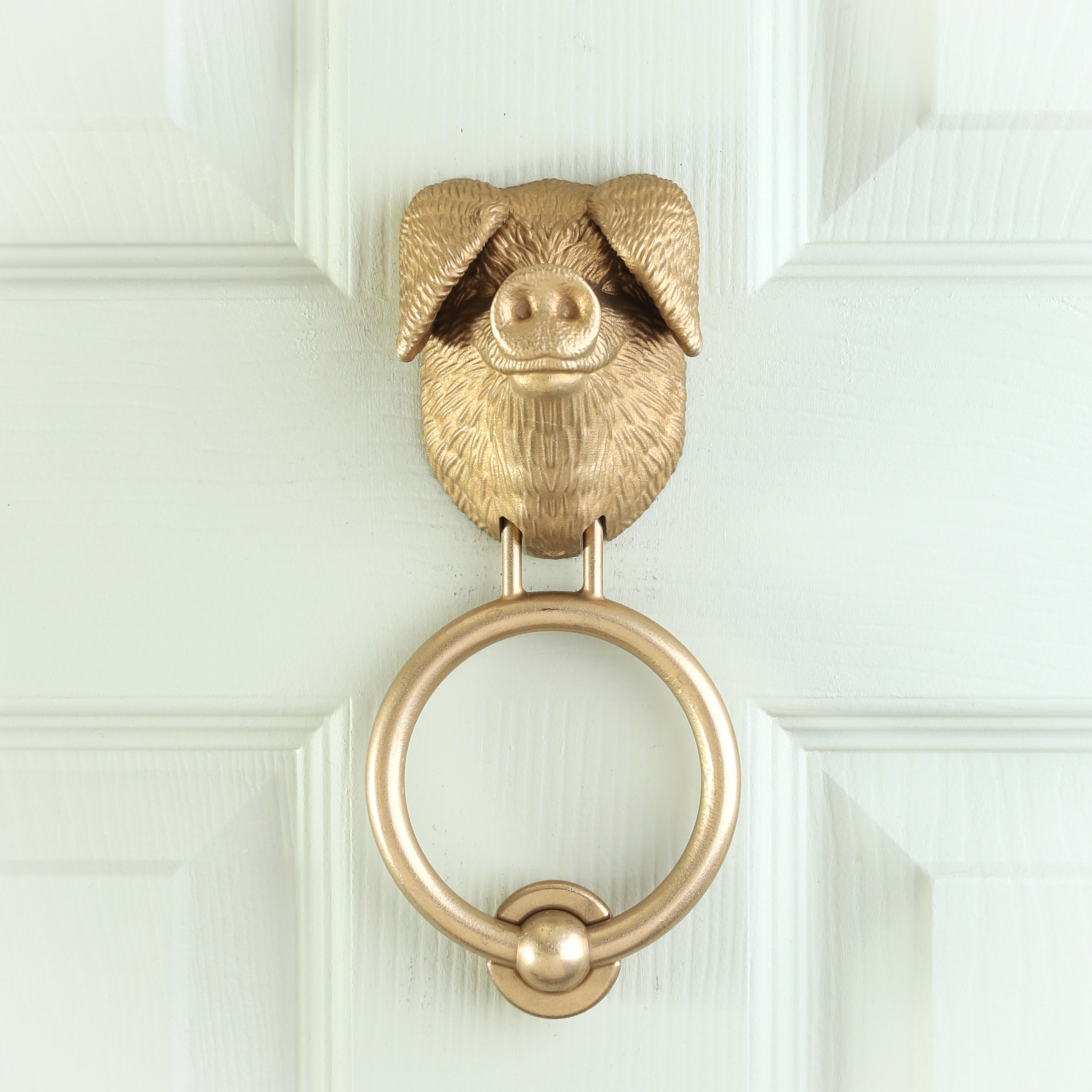 Gloucestershire Old Spot brass door knocker on a pale front door, straight on