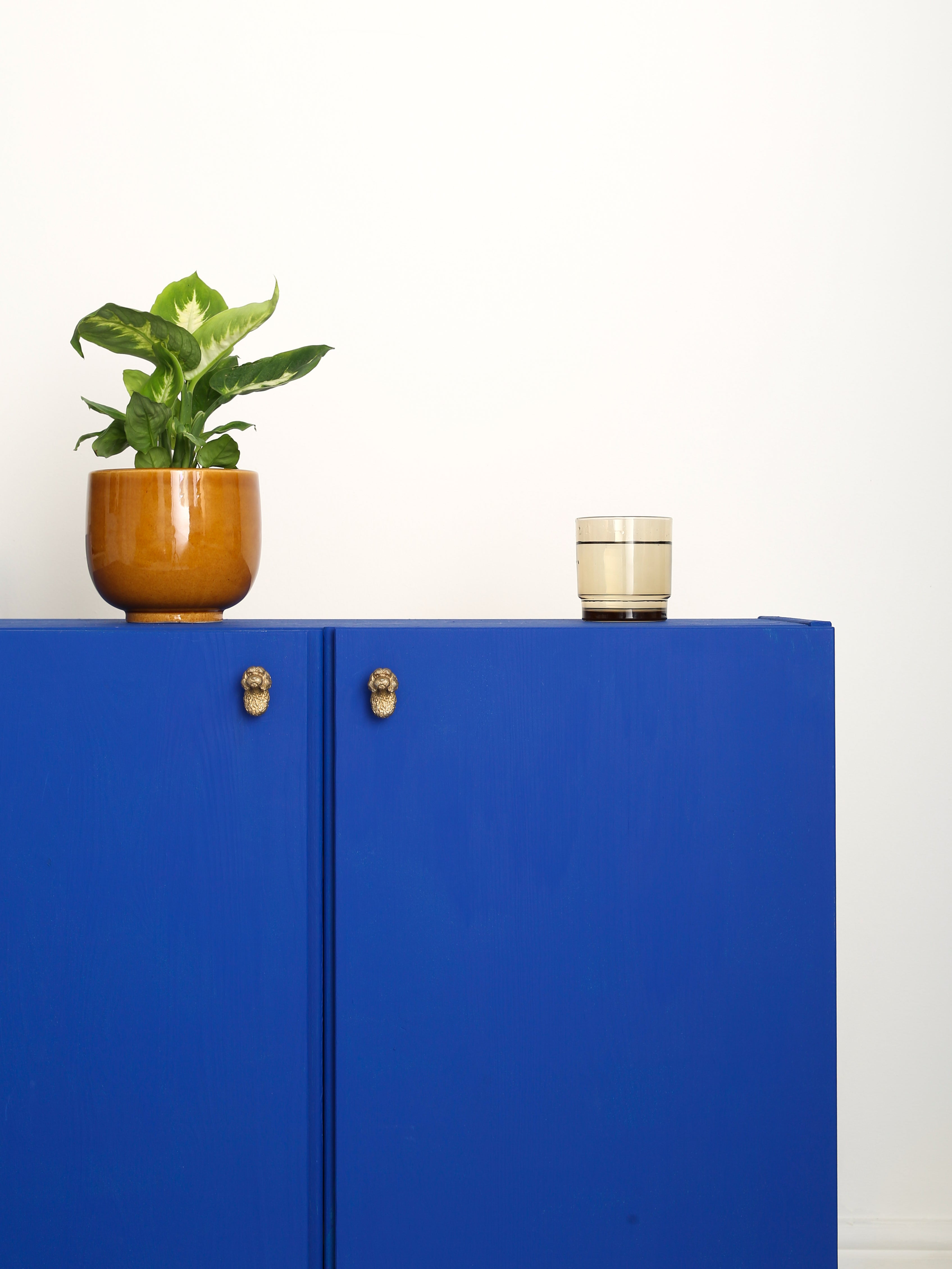 Cavapoo brass cabinet knob fitted to a wooden drawer, close detail