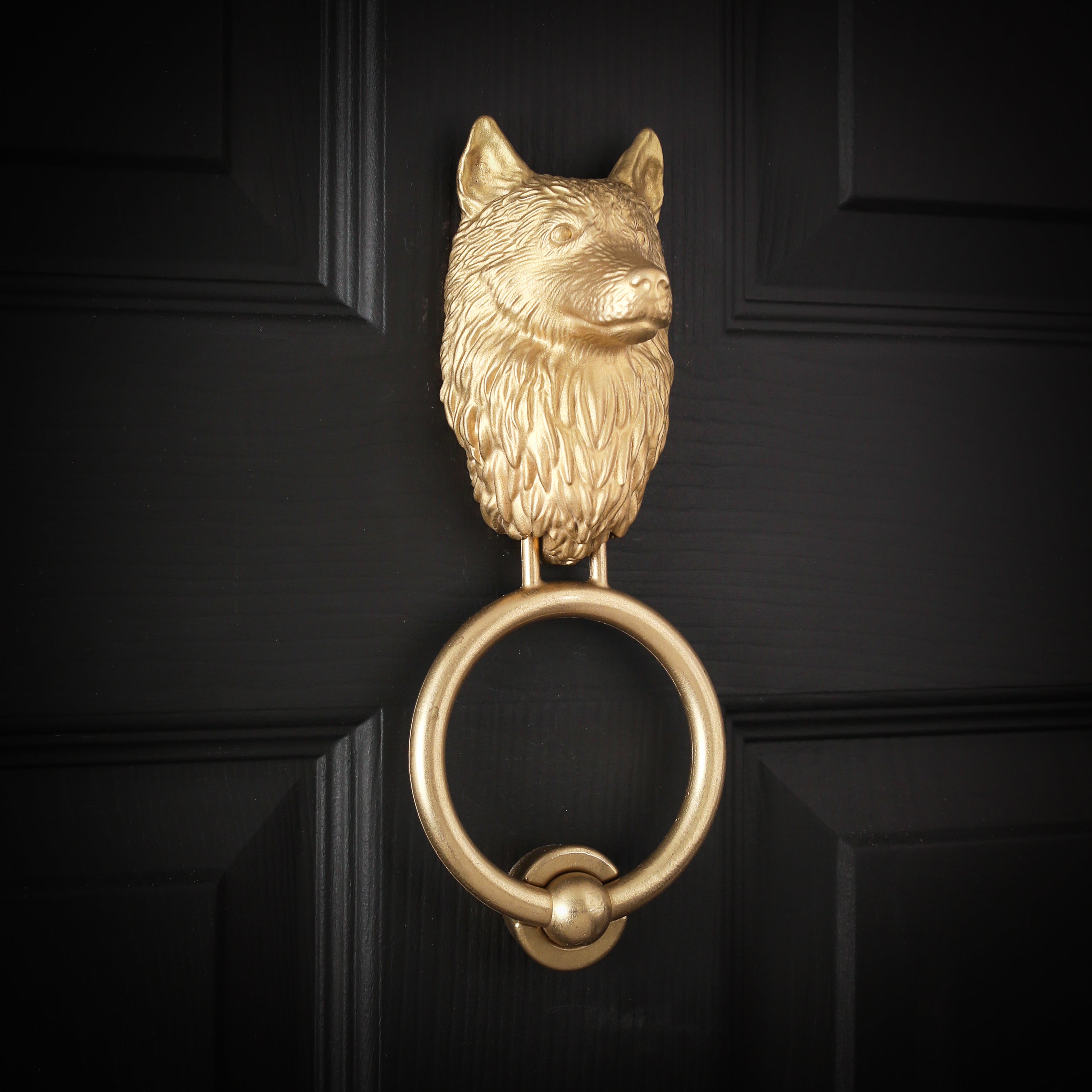 Husky brass door knocker fitted to a black front door, viewed at an angle