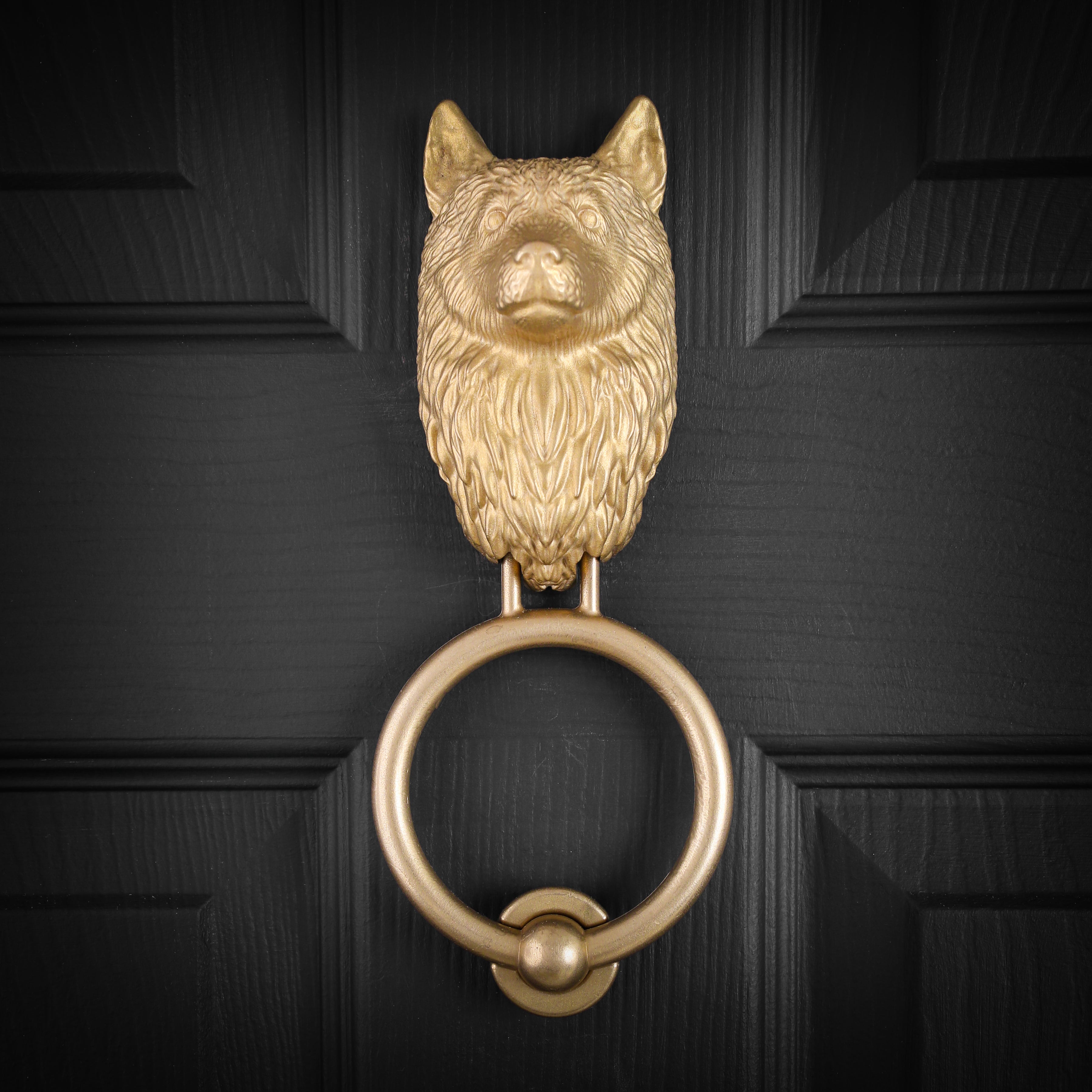 Husky brass door knocker fitted to a black front door, straight on