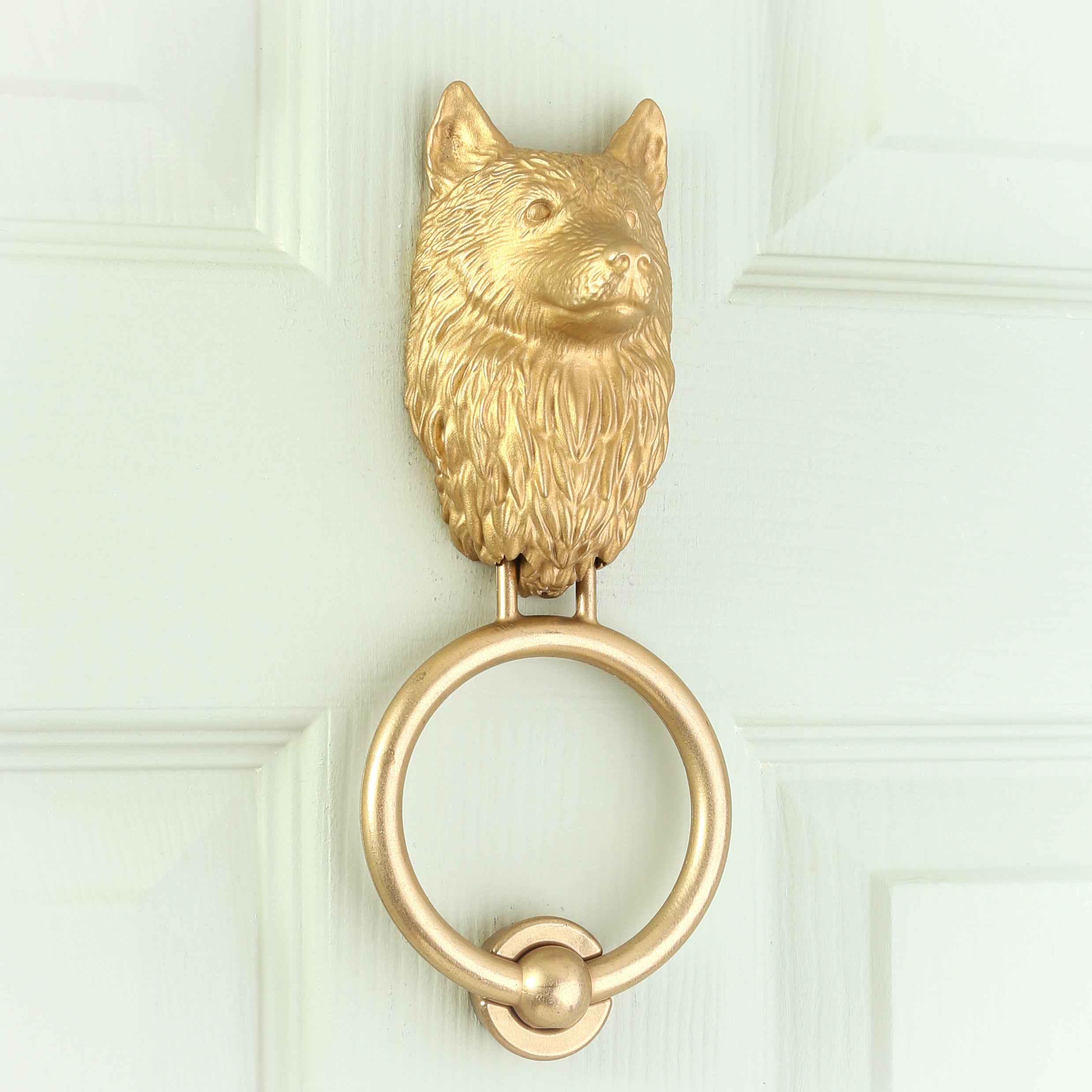 Husky brass door knocker fitted to a pale front door, viewed at an angle