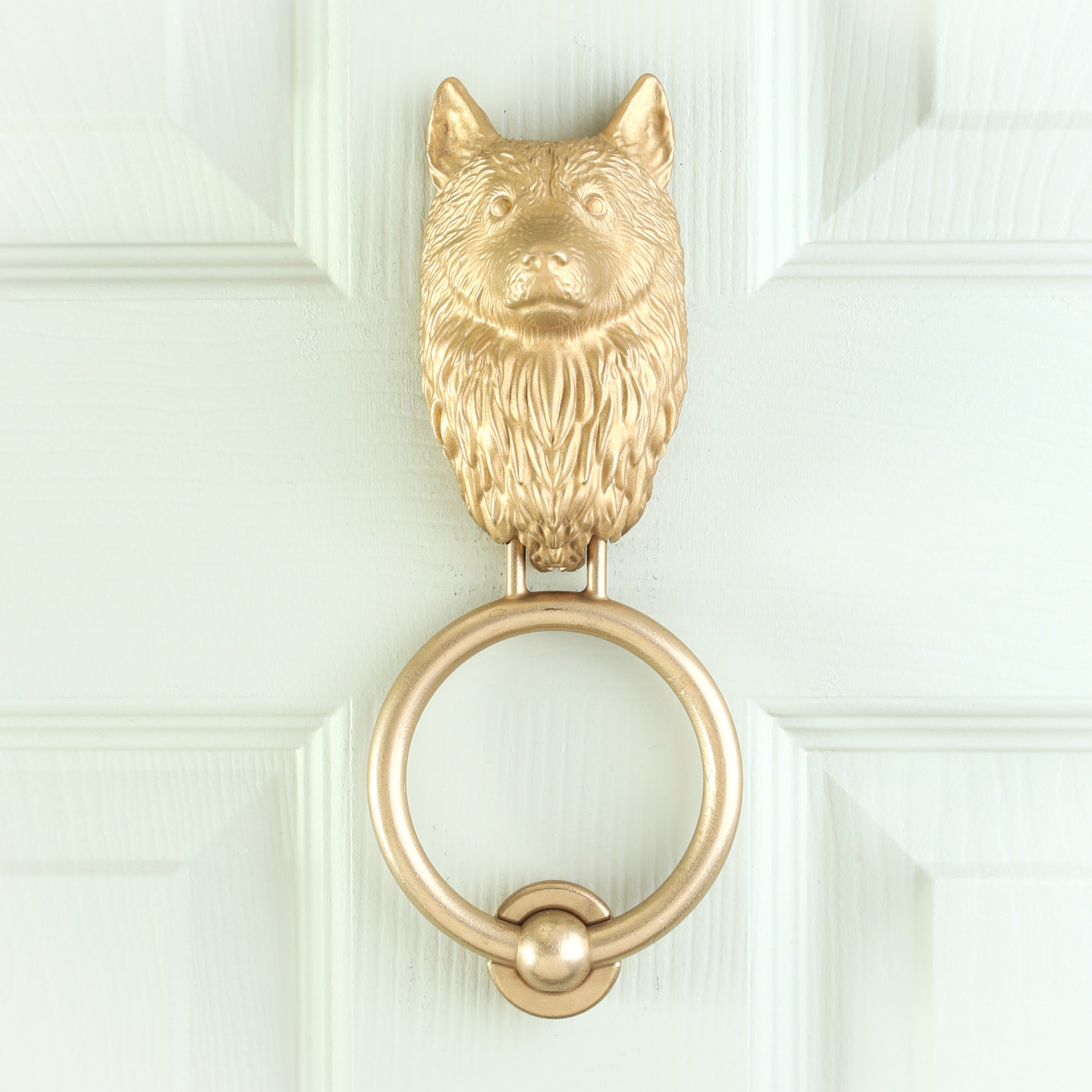 Husky brass door knocker fitted to a pale front door, straight on