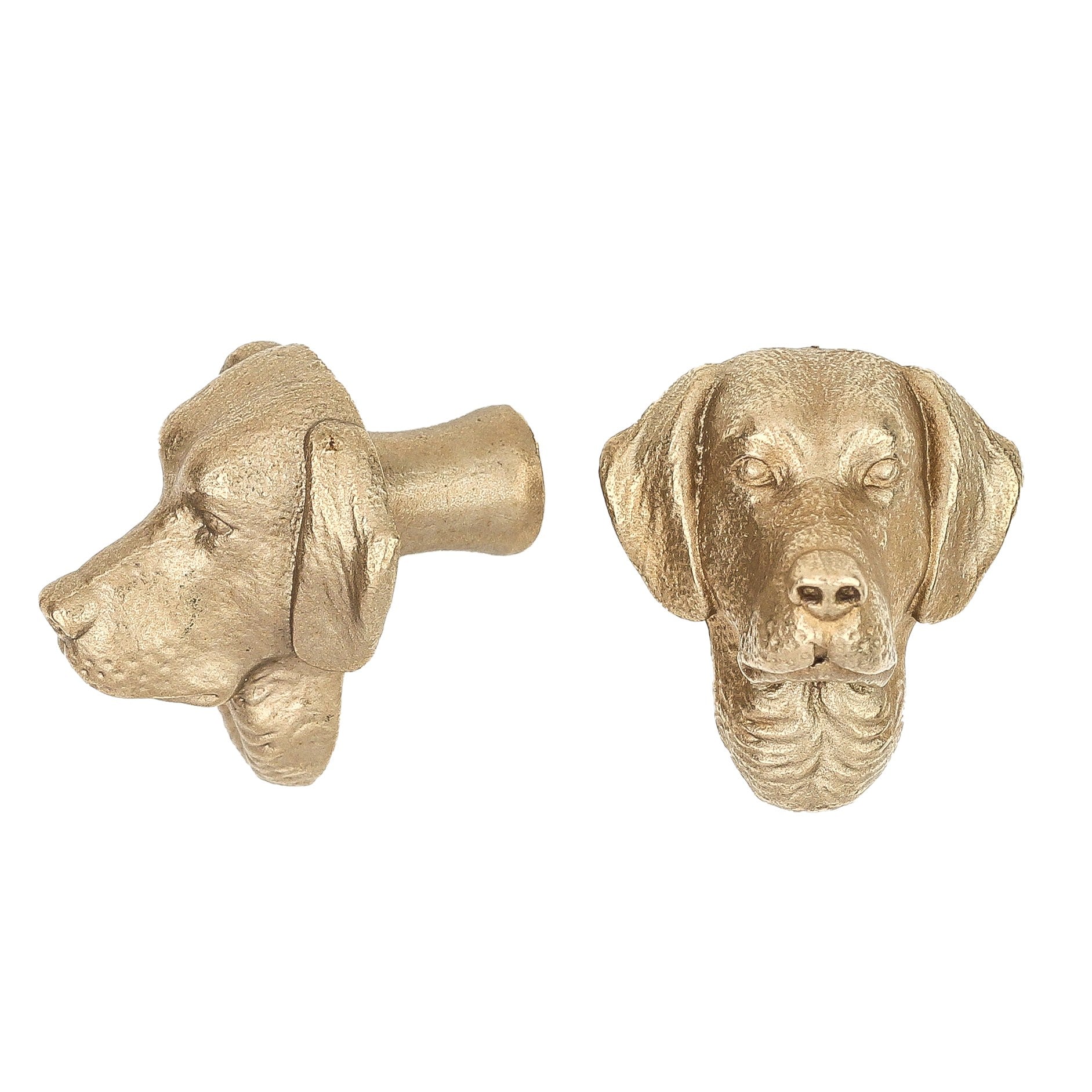 Labrador brass cabinet knob and coat hook, cut out on white, one in profile, one facing front with folded ears