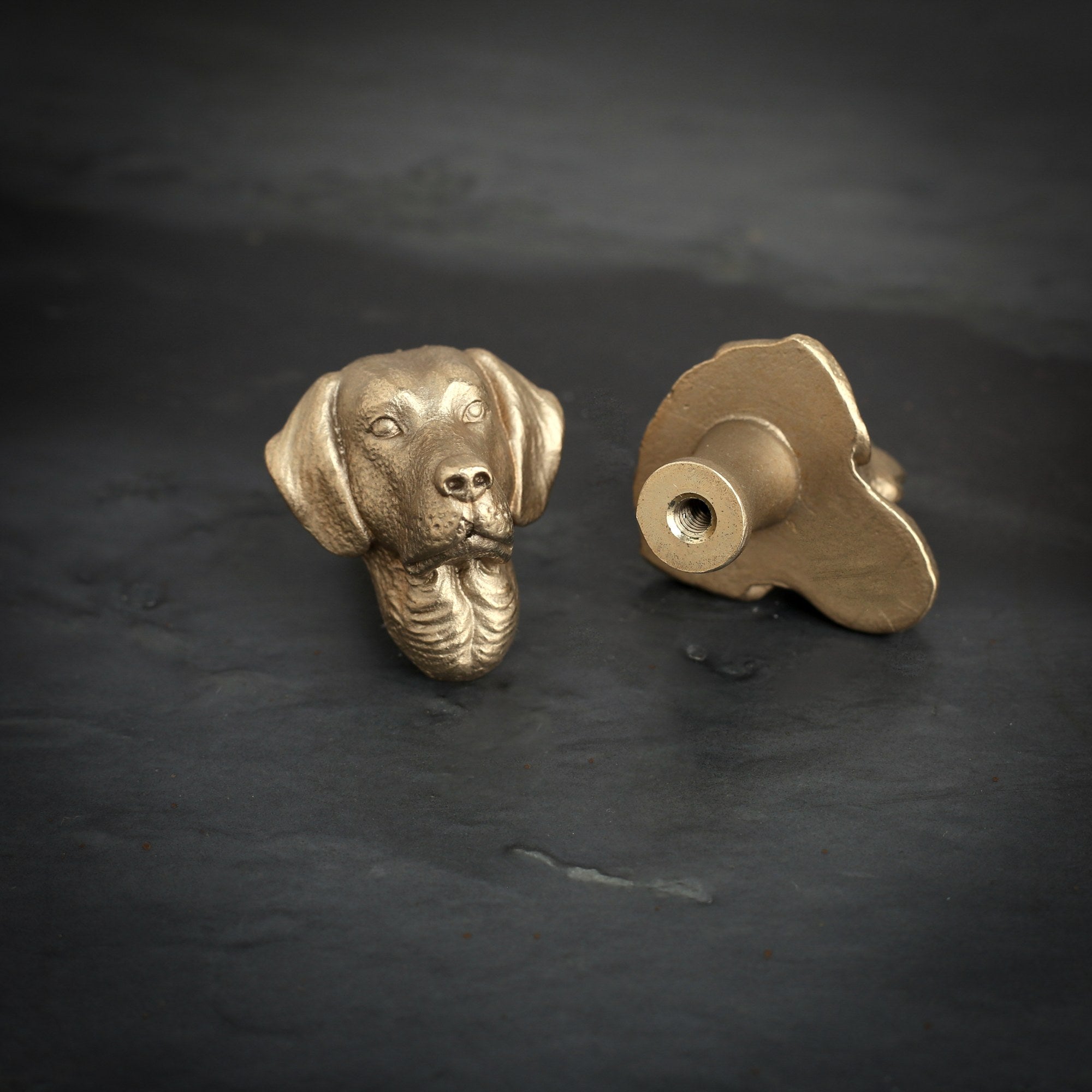 Labrador brass cabinet knob and coat hook on dark slate, one facing front, one turned to show the threaded back