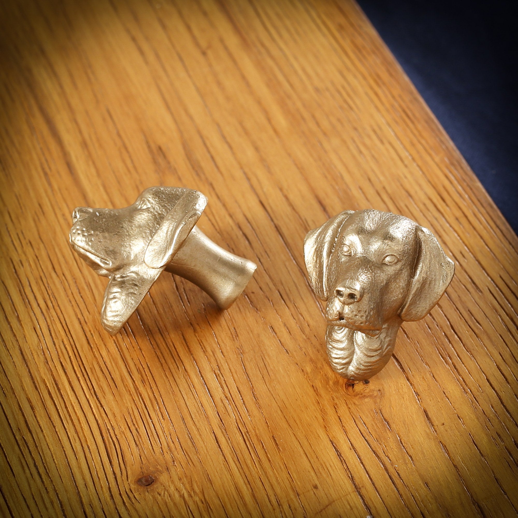 Labrador brass cabinet knob and coat hook on an oak board, one on its side showing the stem, one facing front