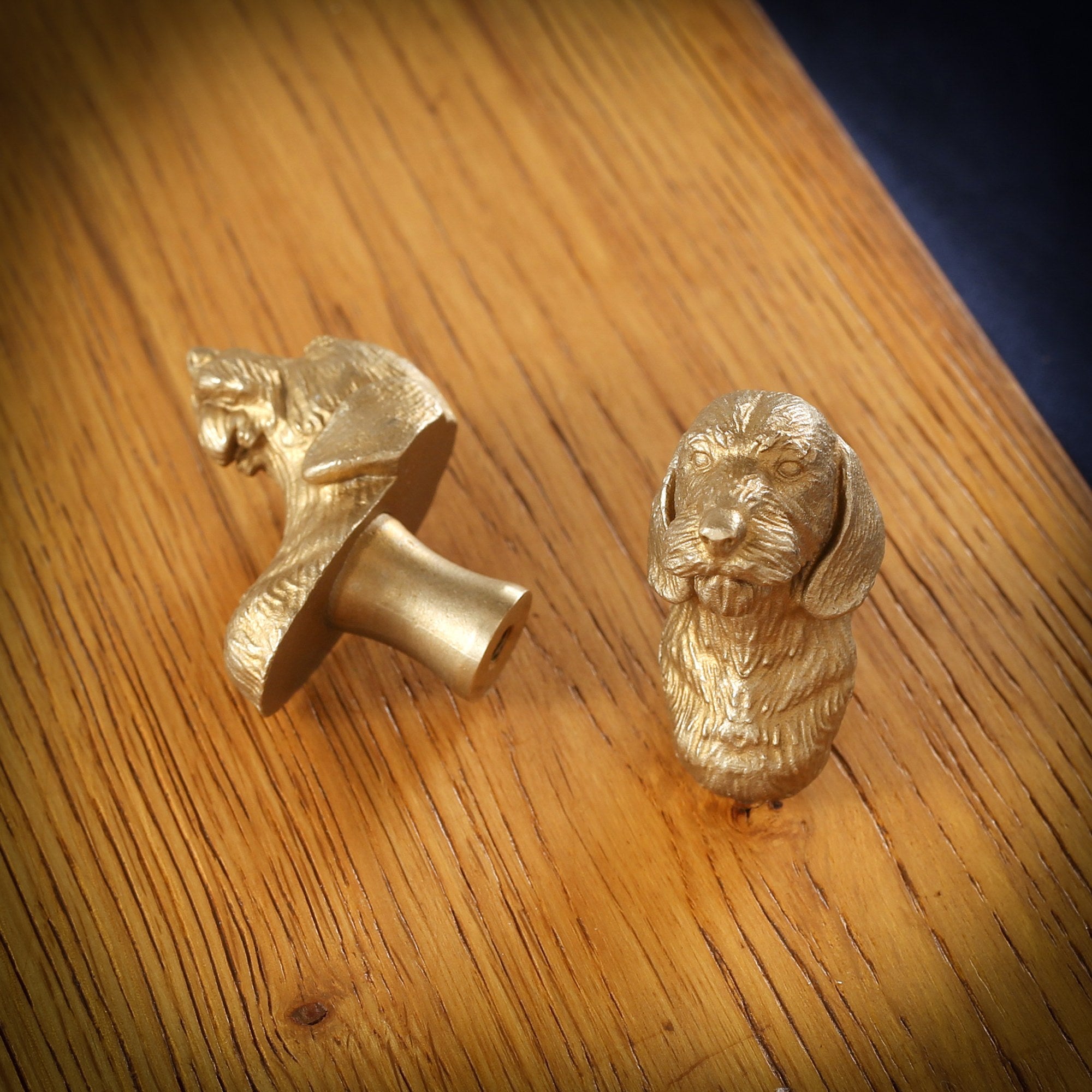 Long-Haired Dachshund brass cabinet knob and coat hook on an oak board, one on its side showing the stem, one facing front