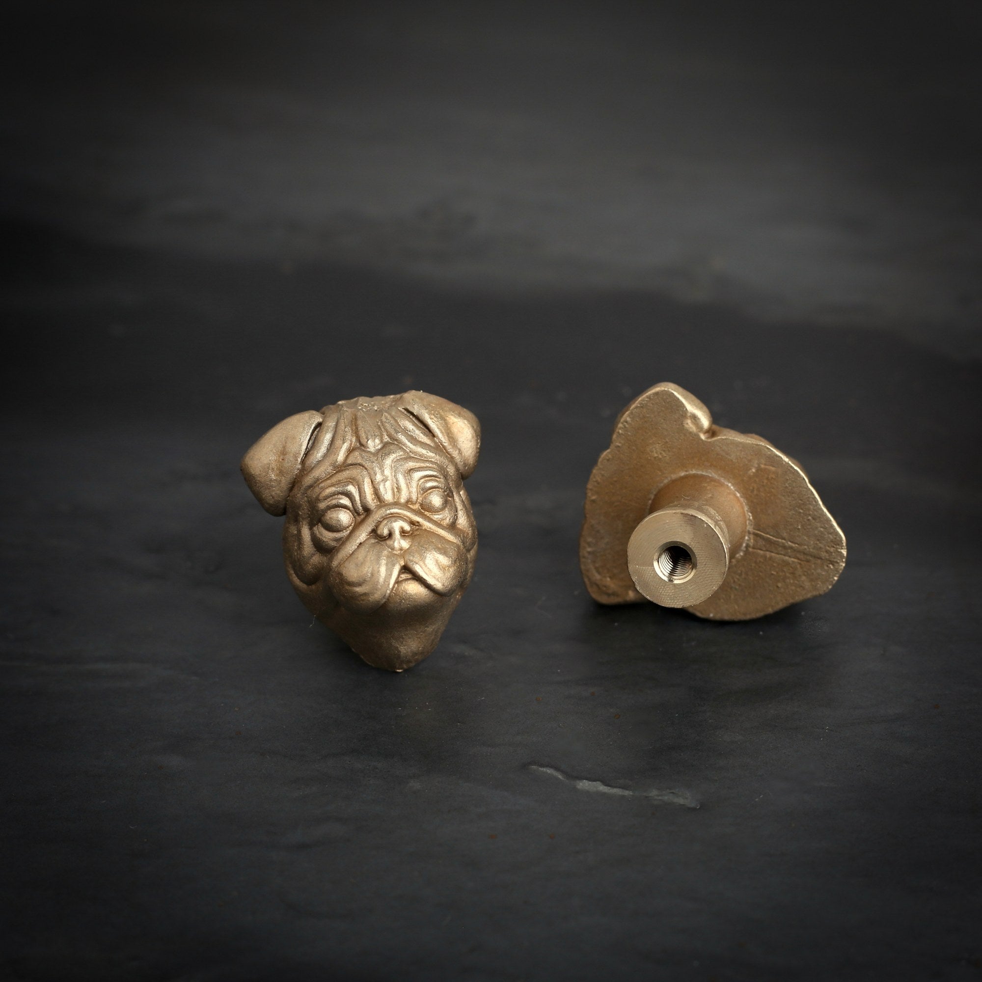 Pug brass cabinet knob and coat hook on dark slate, one facing front, one turned to show the threaded back