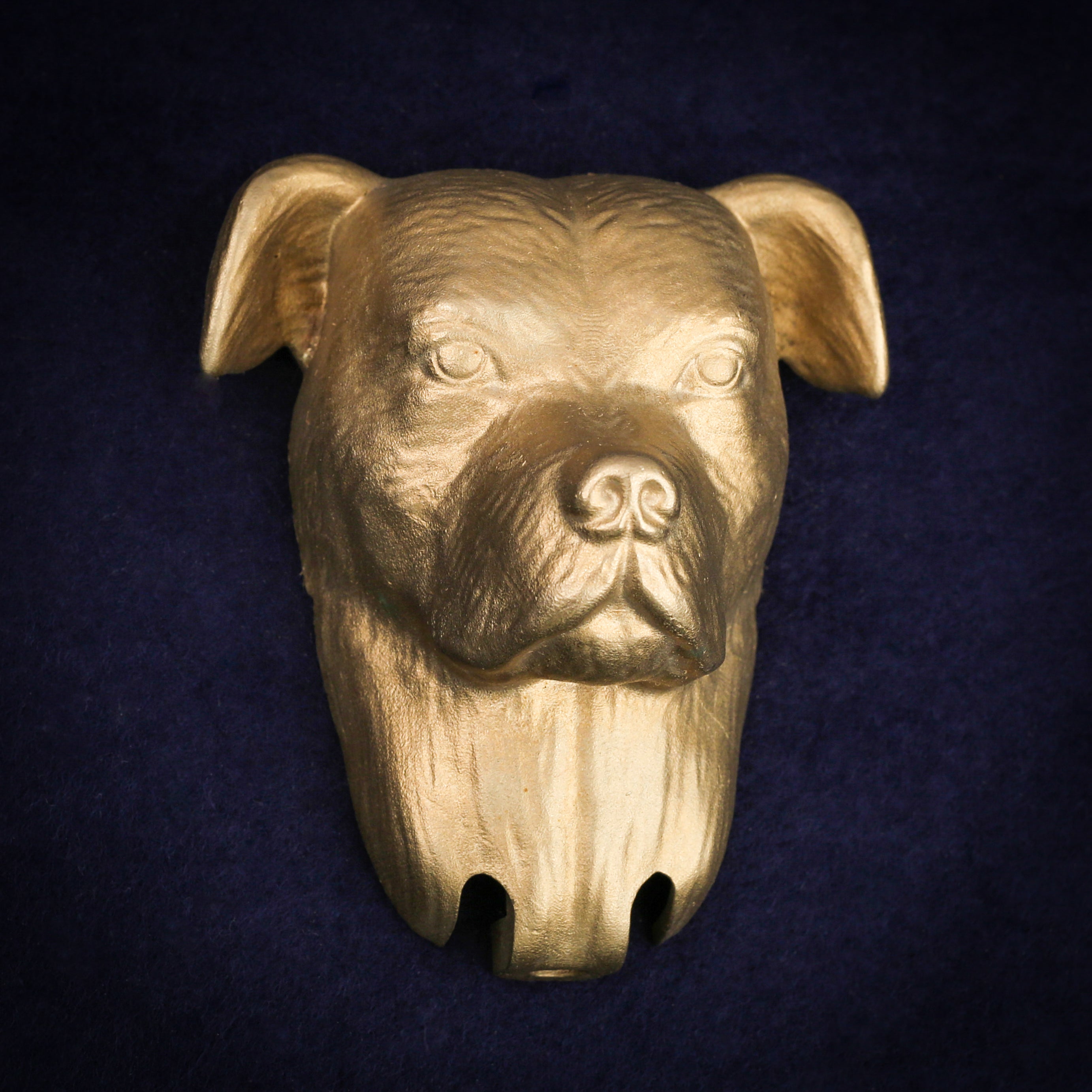 Staffordshire Bull Terrier interchangeable door knocker head on a navy background, front view, folded ears and a creased brow