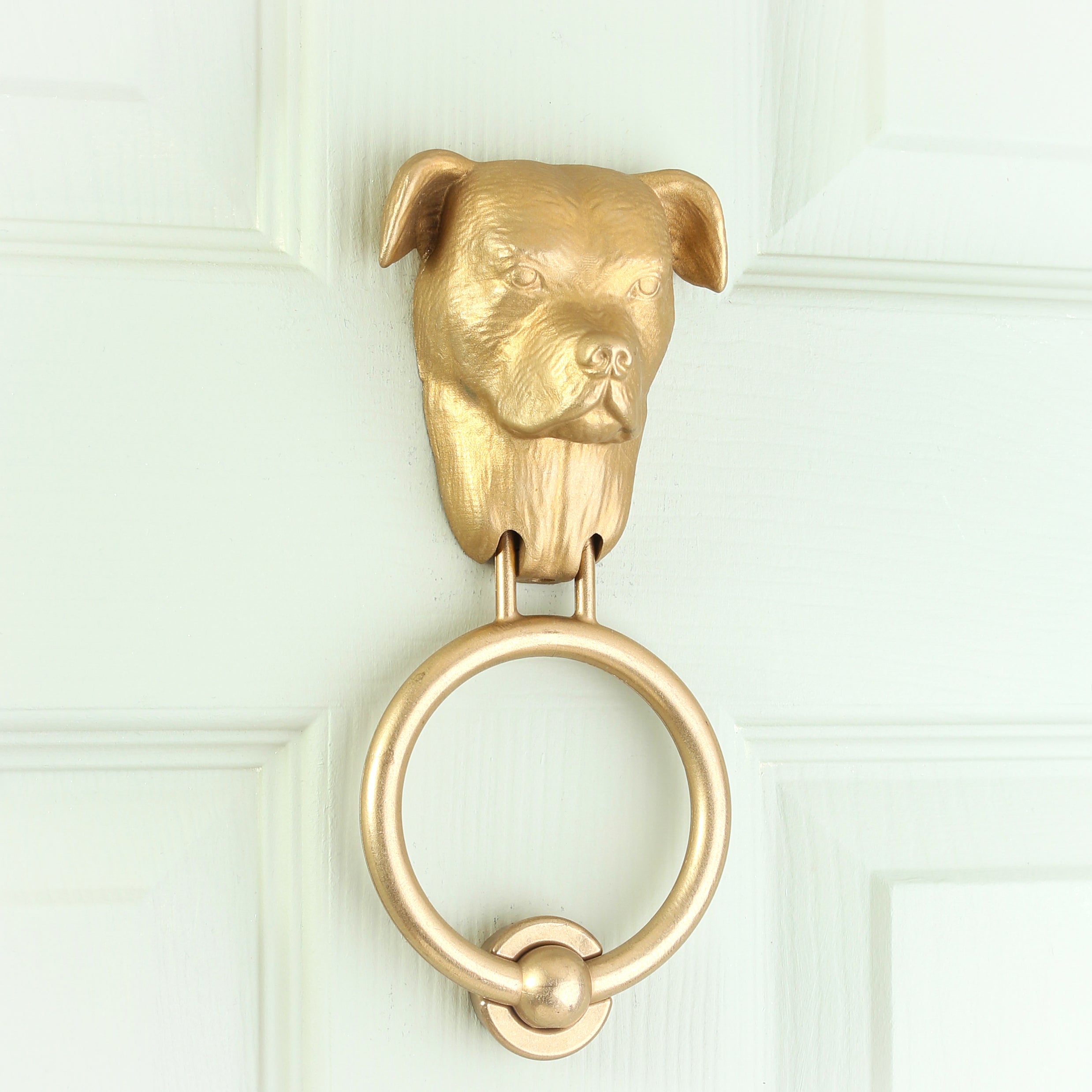 Staffordshire Bull Terrier brass door knocker on a pale panelled door, seen at an angle, muzzle turned to one side