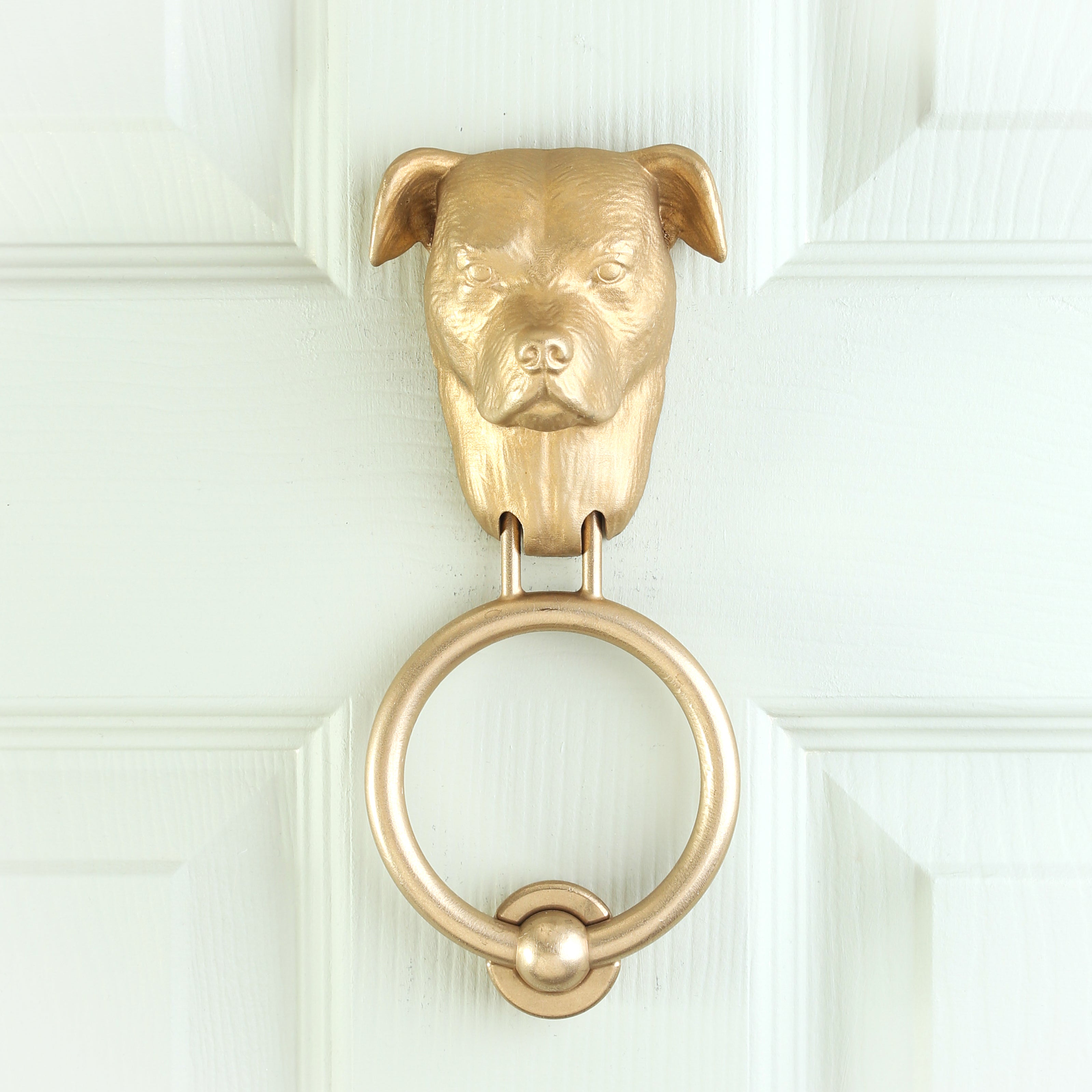 Staffordshire Bull Terrier brass door knocker on a pale panelled door, straight on, ring hanging below the head
