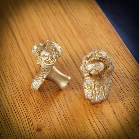 Cavapoo brass cabinet knob fitted to a wooden drawer front