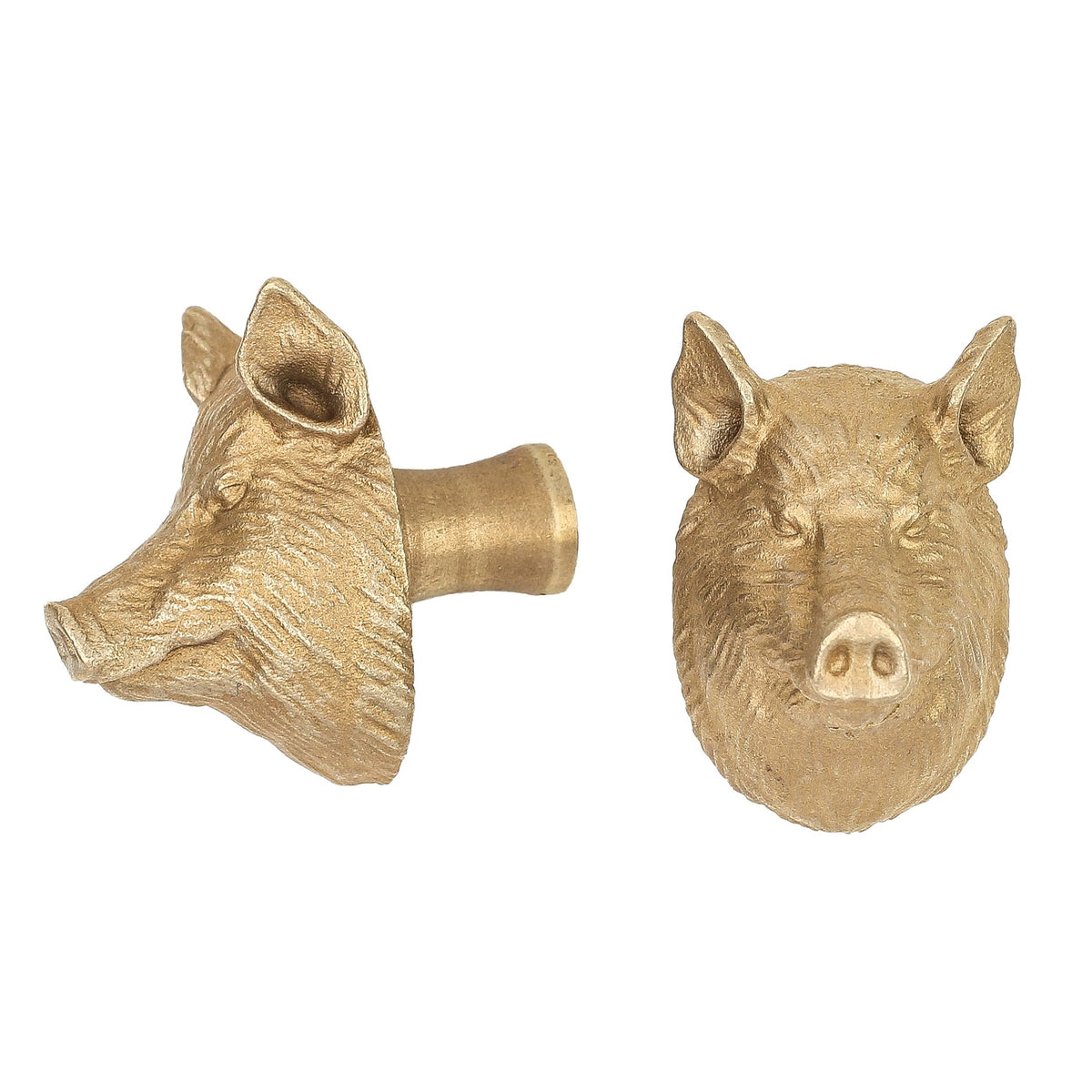 Yorkshire Pig brass cabinet knob and coat hook, cut out on white, one in profile, one facing front with upright ears