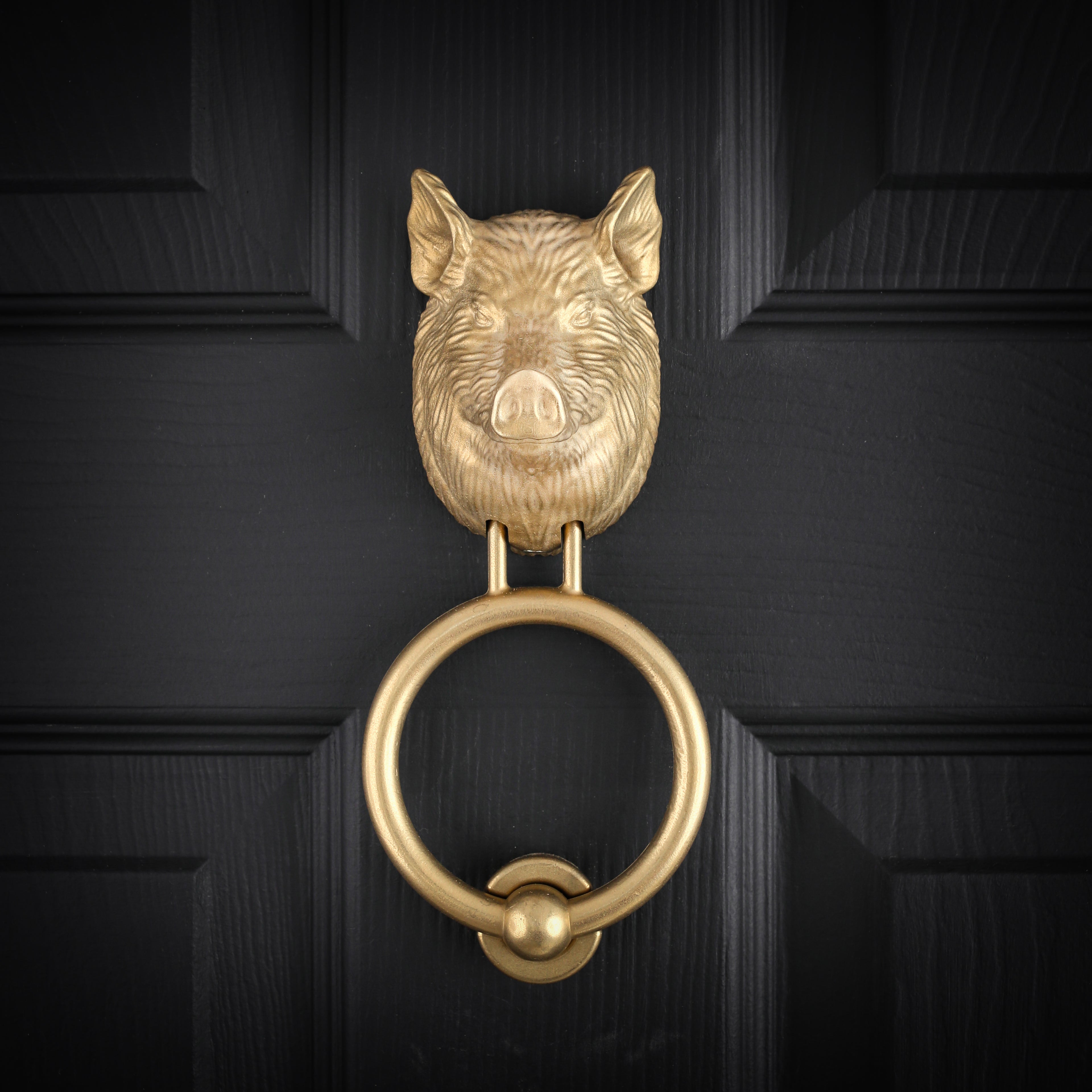 Yorkshire Pig brass door knocker in cast aluminium bronze on a black front door, straight on