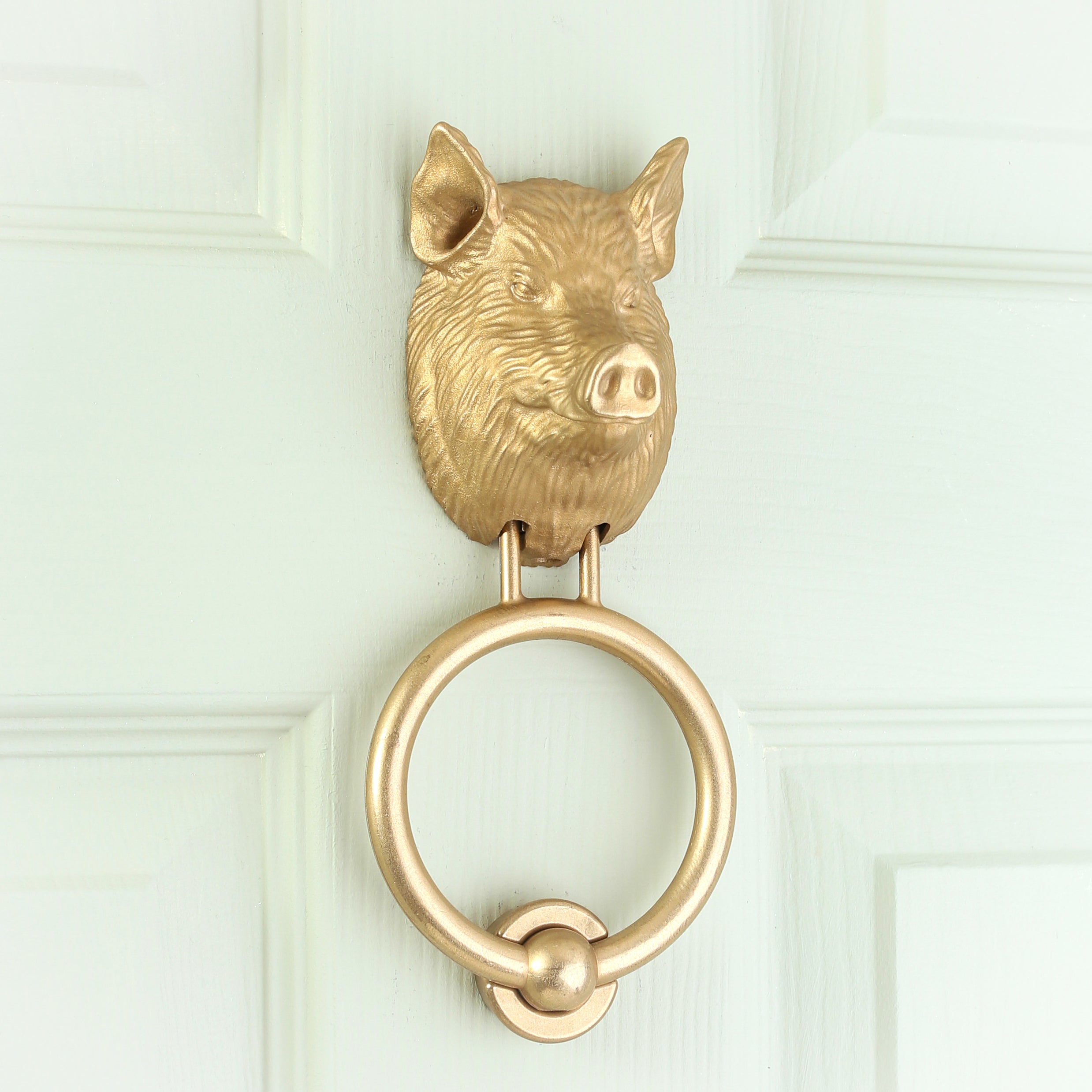 Yorkshire Pig brass door knocker on a pale front door, angled view