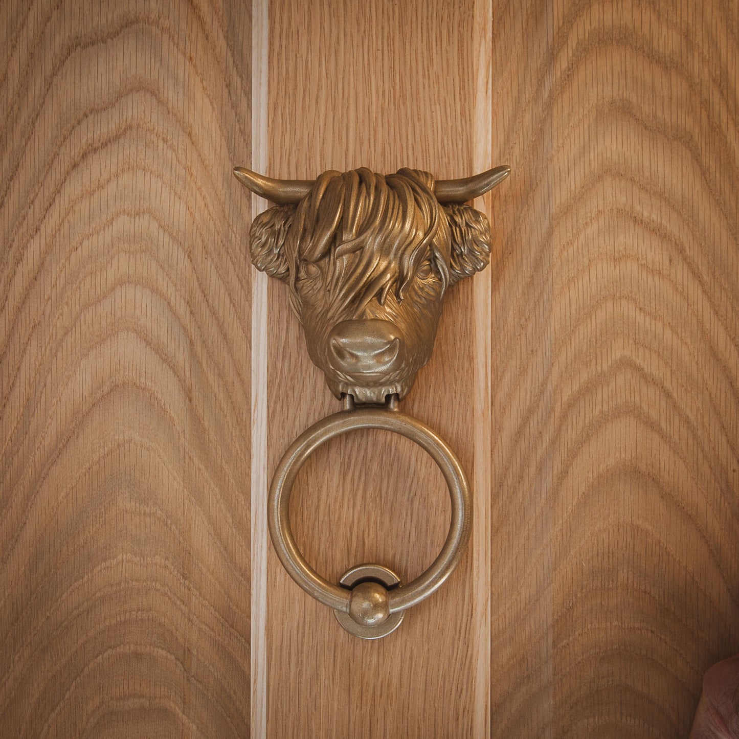 Highland Cow Door Knocker (2 styles)