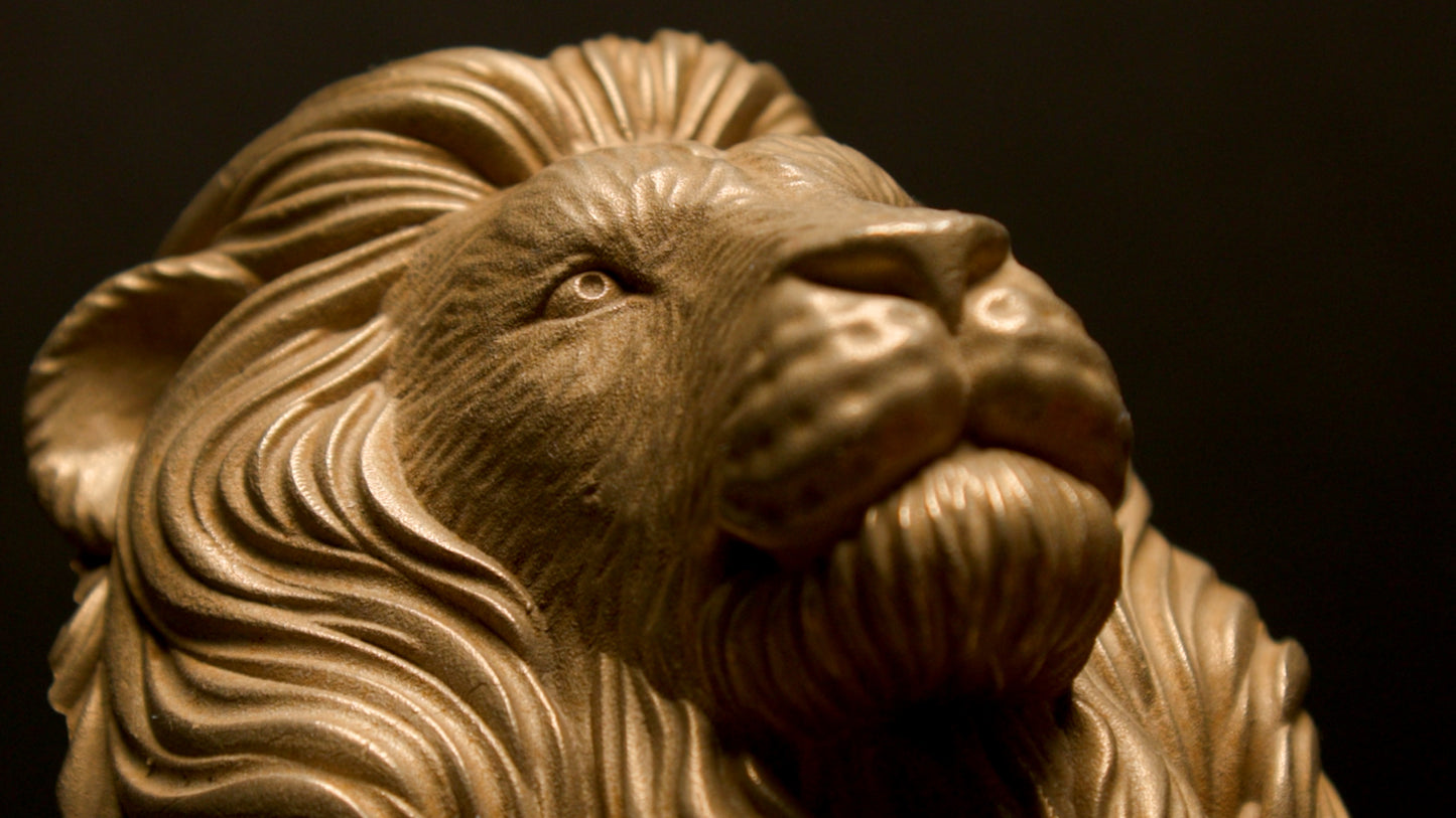 Lion Head Door Knocker